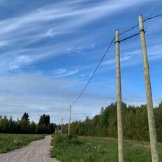 Коттеджный посёлок «Новое Дятлово», Выборгский район - изображение 5