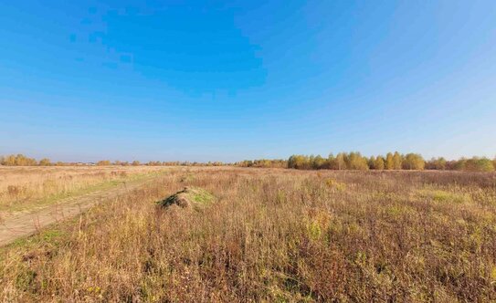 Коттеджные поселки в Московской области - изображение 8