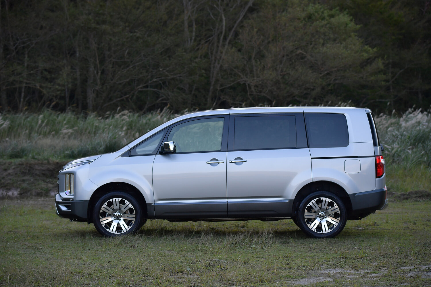 Mitsubishi Delica D:5, вид 2