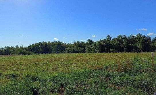 Коттеджные поселки в Московской области - изображение 22