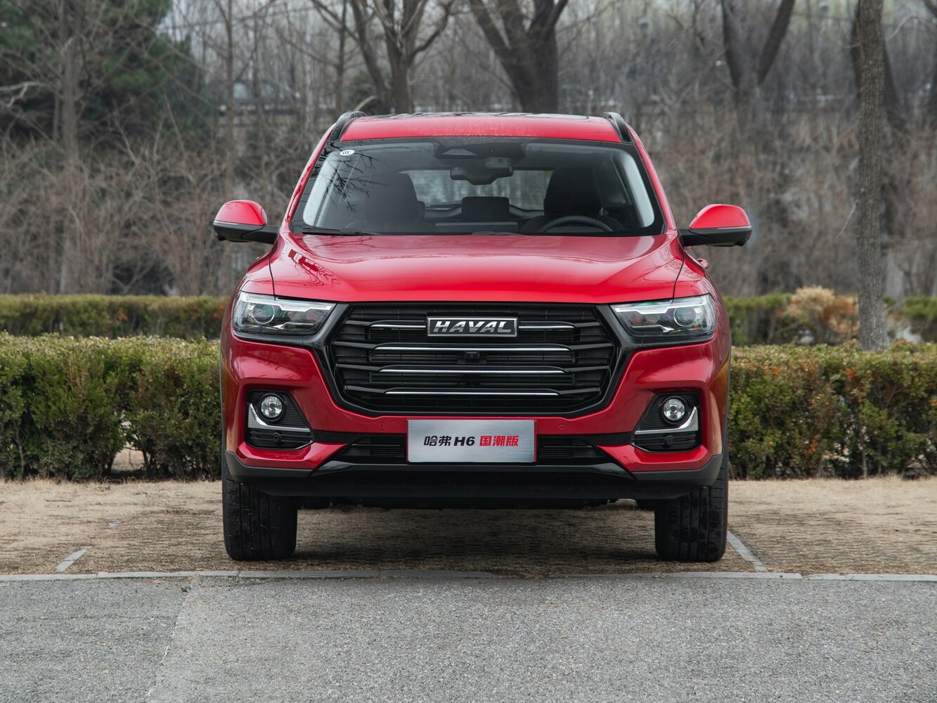 Haval H6, вид 3
