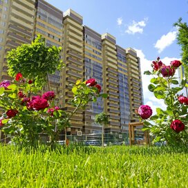 Купить квартиру в кирпично-монолитном доме в ЖК «Олимпийский» в Воронеже - изображение 4