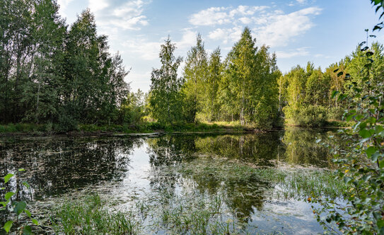 Коттеджные поселки во Фрязино - изображение 19