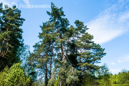 Коттеджные поселки в Городском округе Ступино - изображение 30