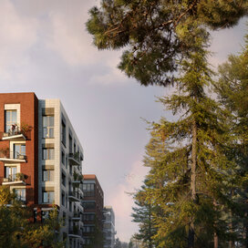 Купить квартиру в ЖК VEREN NORT cертолово в Санкт-Петербурге и ЛО - изображение 4