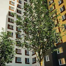 Квартира 35,5 м², 1-комнатная - изображение 5