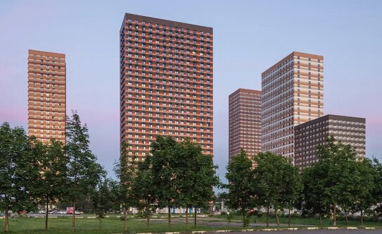 Сигнальный 16 - изображение 2