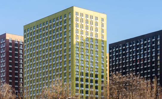 Кузьминский лес - изображение 3