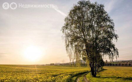 Коттеджные поселки в Городском округе Клин - изображение 39