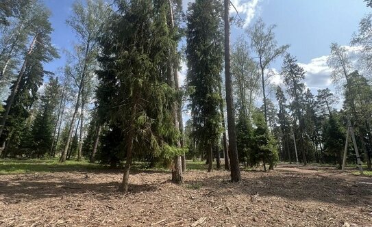 Коттеджные поселки во Фрязино - изображение 2