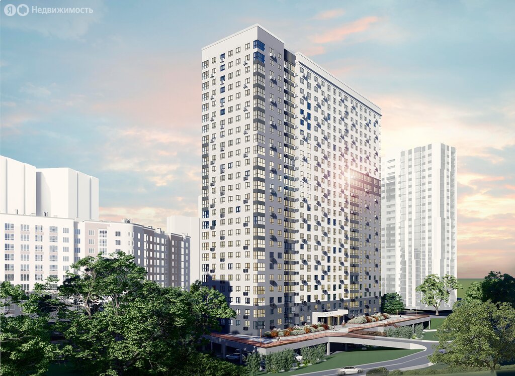 Кипарис - изображение 1