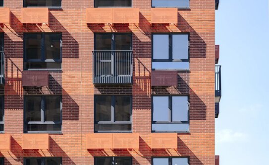 Первый Дубровский - изображение 2