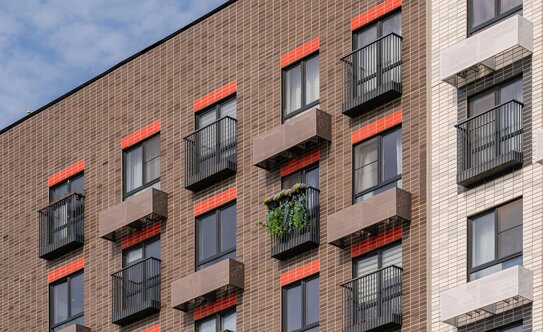 Середневский лес - изображение 5