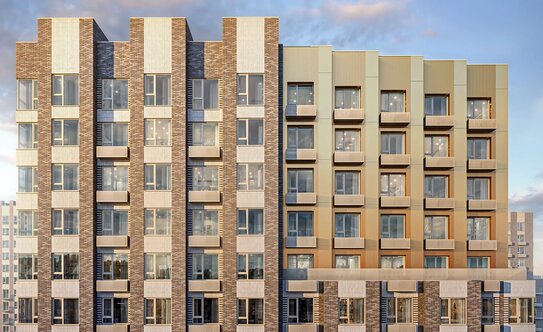 Середневский лес - изображение 4