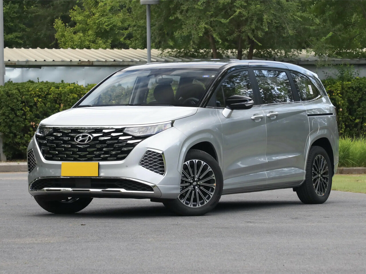 Hyundai Custo Основной вид
