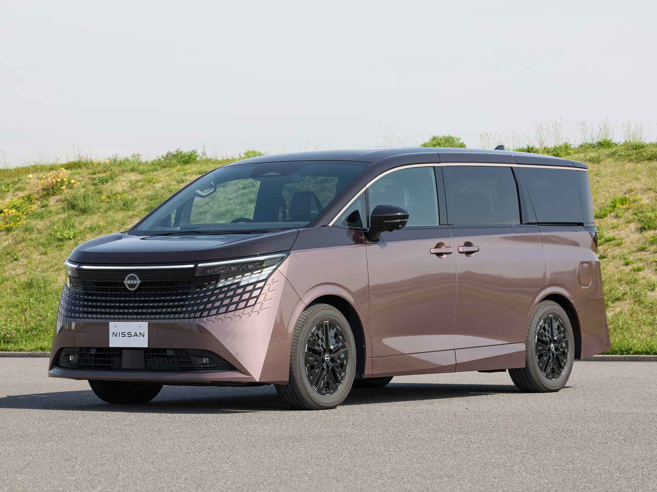 Nissan Elgrand Основной вид