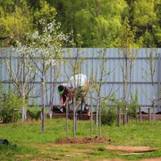 Коттеджный посёлок «Китежградъ», округ Пушкинский - изображение 14