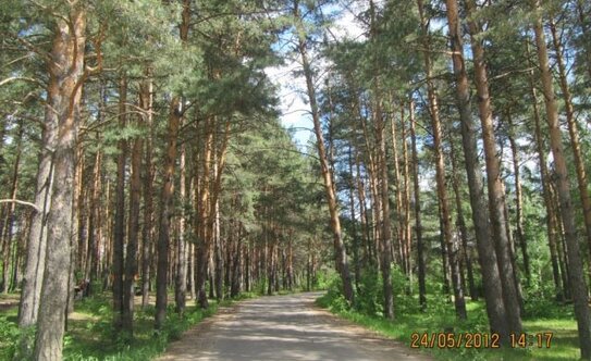 Коттеджные поселки в Московской области - изображение 21