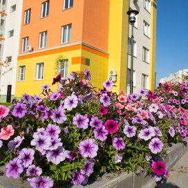 Купить трехкомнатную квартиру в ЖК «Бульвар Осенний» в Кемерове - изображение 5