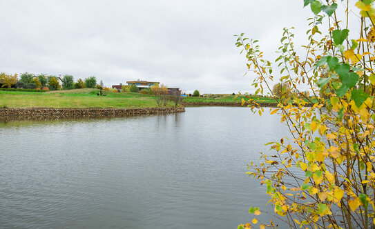 Коттеджные поселки в Московской области - изображение 36