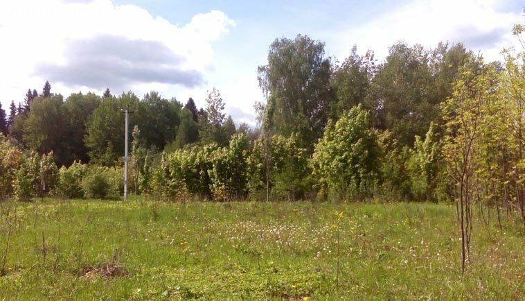 Посёлок «ИЖС в Рузском районе», Рузский округ - изображение 9
