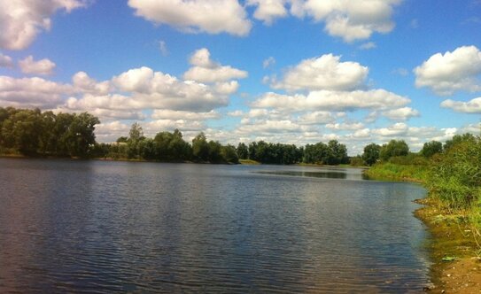 Коттеджные поселки в Московской области - изображение 23