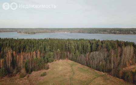 Коттеджные поселки в Выборгском районе - изображение 26