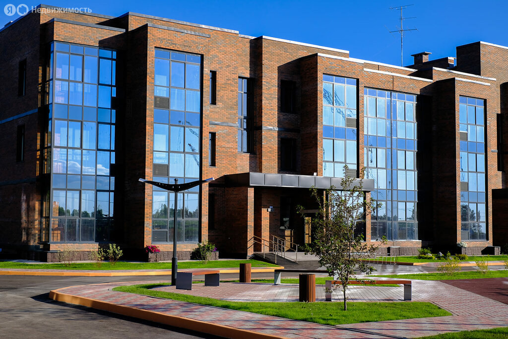 Да Винчи - изображение 1