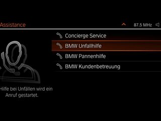 BMW TeleServices