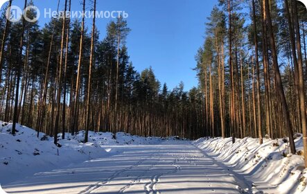 Коттеджные поселки в Всеволожском районе - изображение 23