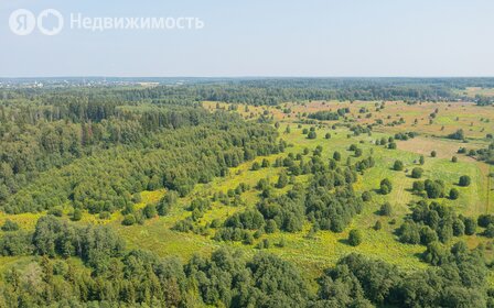 Коттеджные поселки в Дмитровском городском округе - изображение 38