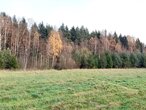 Посёлок «Решетниково», округ Клин - изображение 2