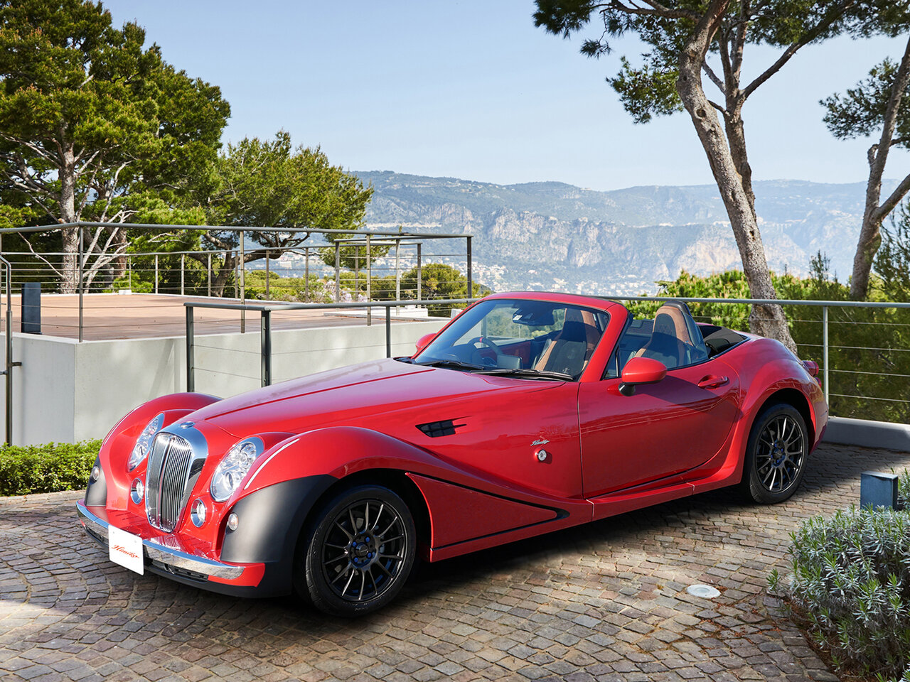 Mitsuoka Himiko Основной вид