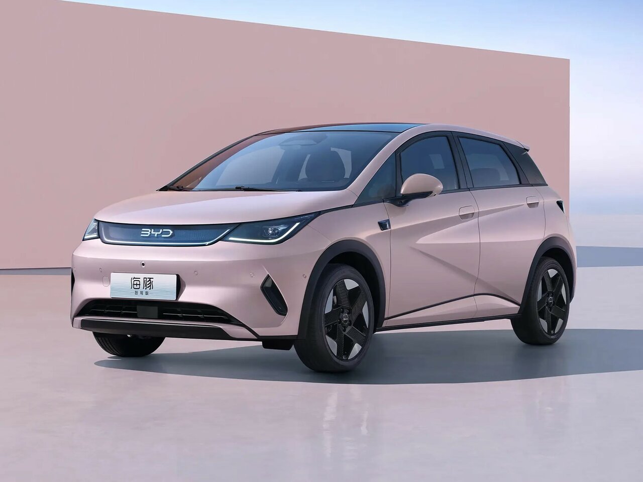 BYD Dolphin Основной вид