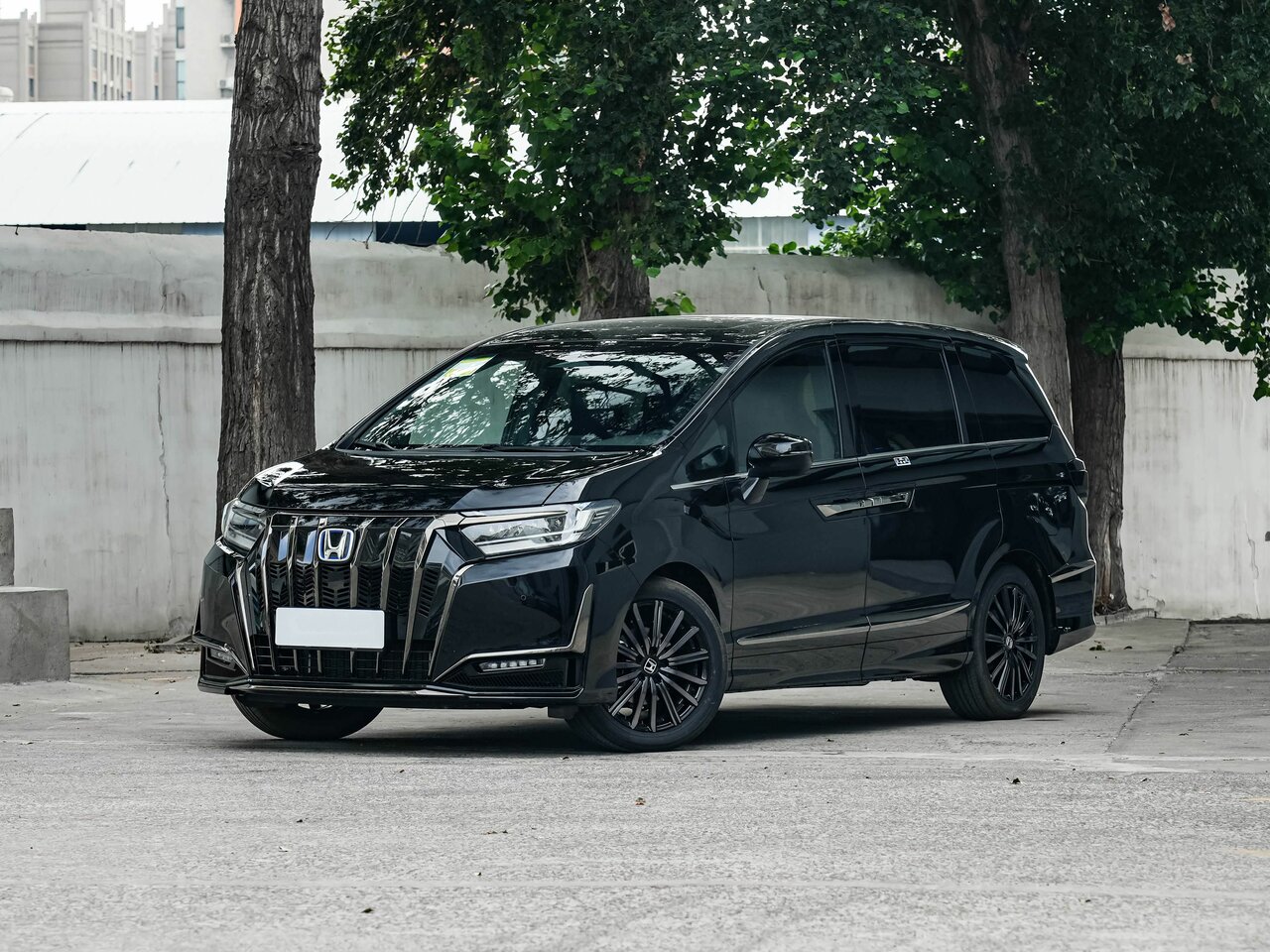 Honda Elysion Основной вид