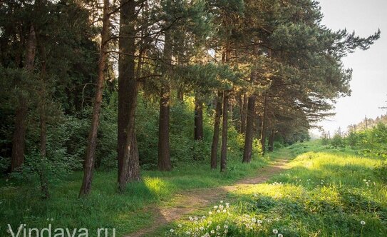 Коттеджные поселки в Нахабино - изображение 52