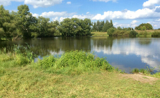 Коттеджные поселки в Воскресенске - изображение 2