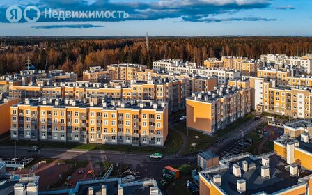 Купить квартиру с европланировкой (с кухней-гостиной) у станции Озерки в Санкт-Петербурге и ЛО - изображение 3