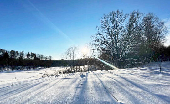 Коттеджные поселки в Московской области - изображение 14