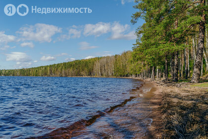 Коттеджные поселки в Санкт-Петербурге и ЛО - изображение 35