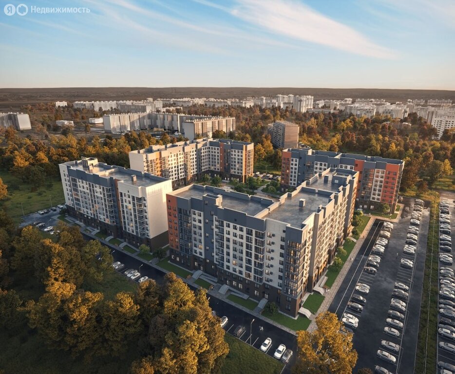 12 - изображение 1