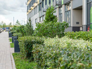 Микрорайон «Новый Зеленоград» - изображение 42