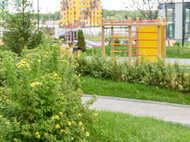 Микрорайон «Новый Зеленоград» - изображение 38