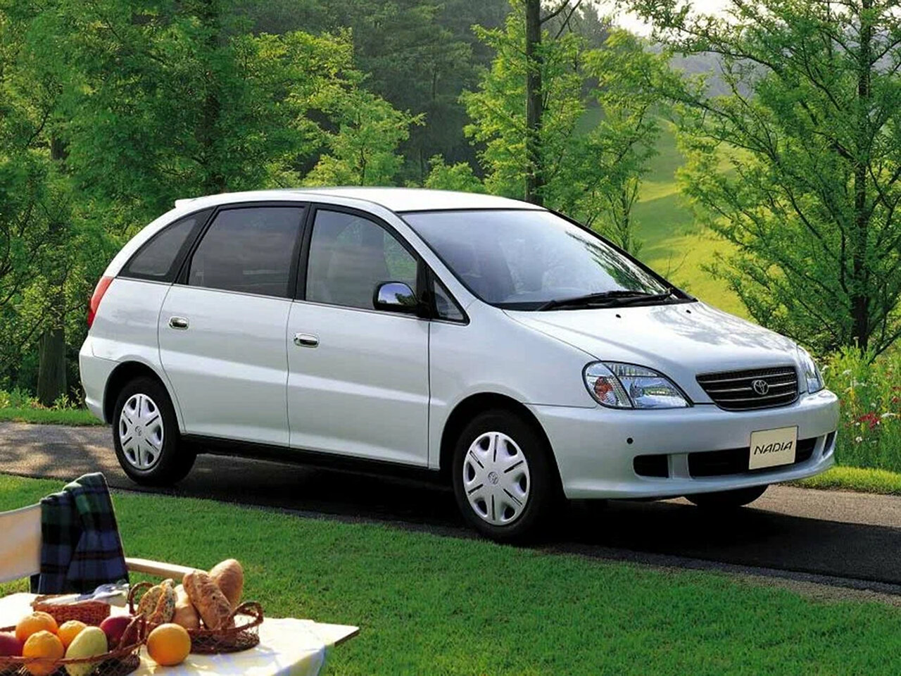Toyota Nadia Основной вид
