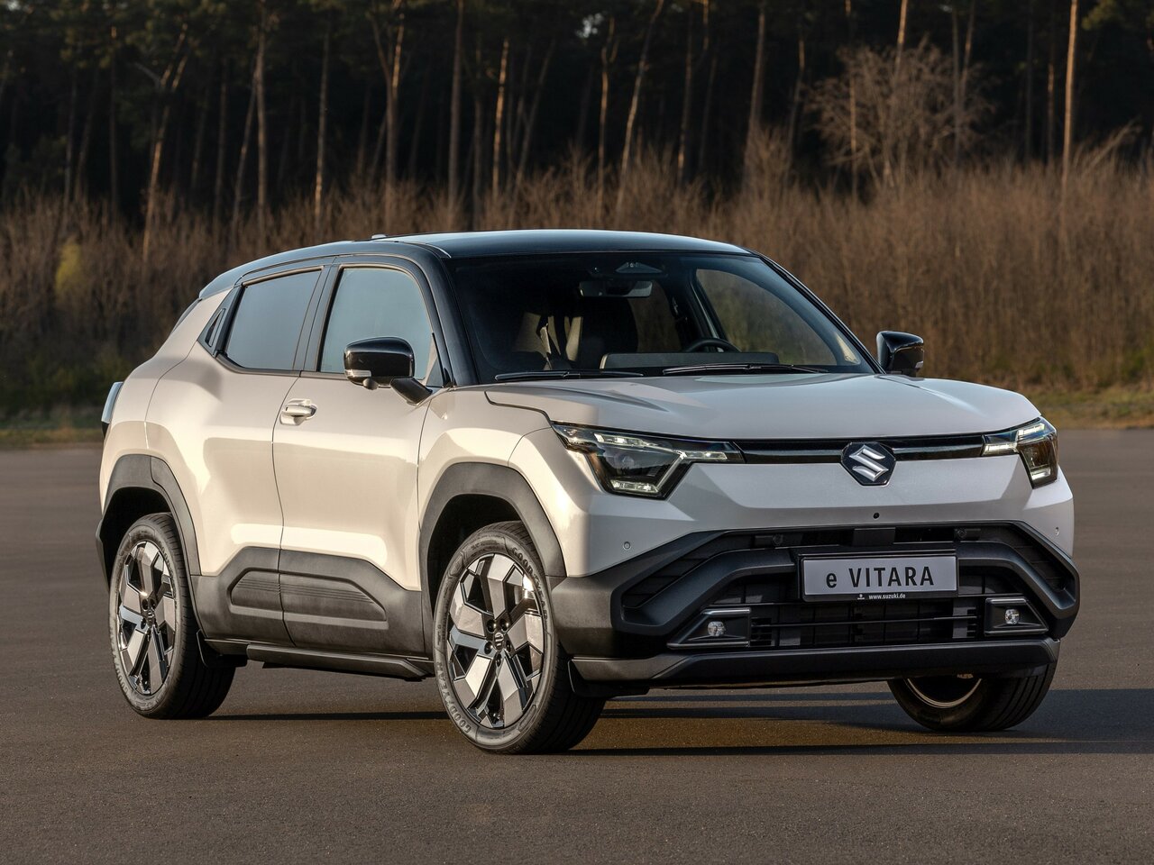 Suzuki e Vitara Основной вид