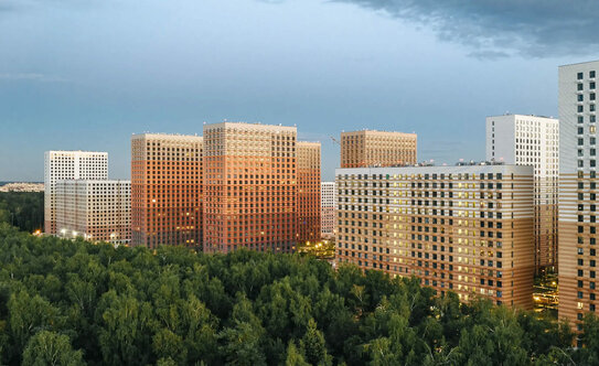 Восточное Бутово - изображение 2