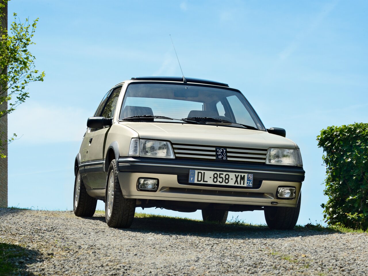 Peugeot 205 Основной вид