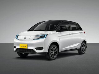 Dongfeng Young Guang Xiaoxin