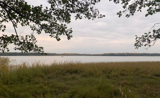 Коттеджные поселки в Ленинградской области - изображение 16