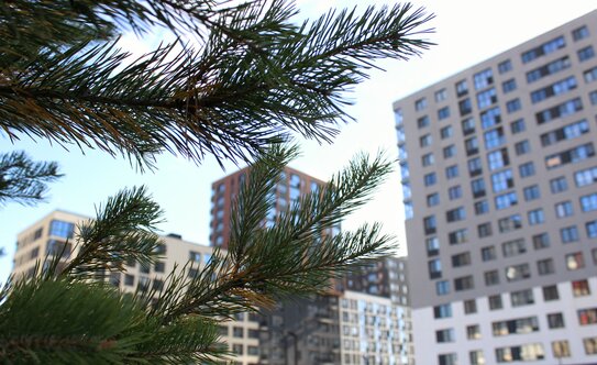 ЖК «Тайгинский парк» - изображение 5